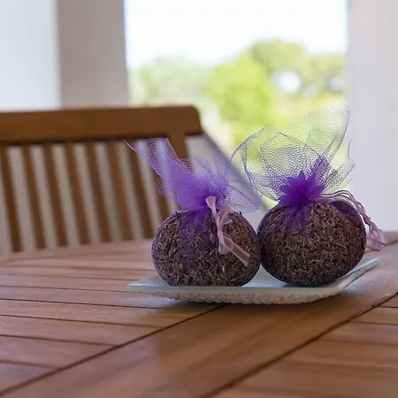 Sunshine アパート